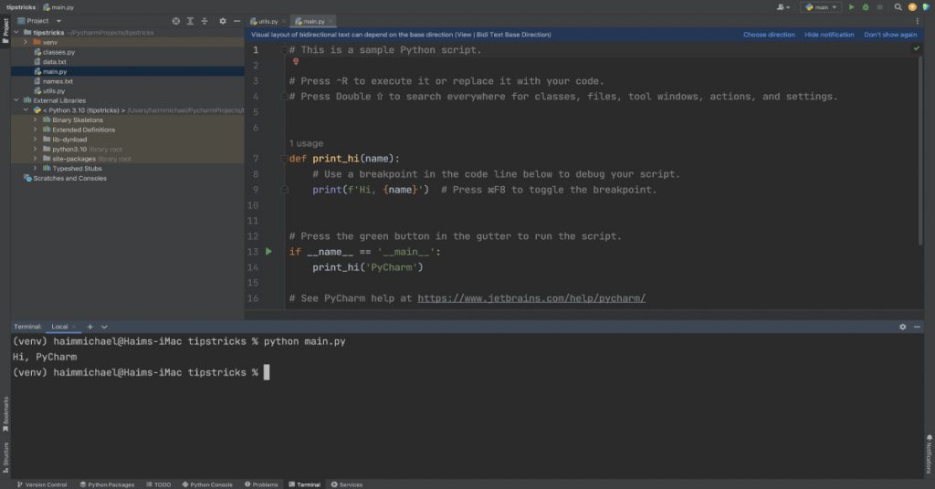 executing code in python