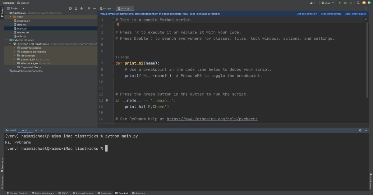הרצת תכנית בפייתון בשורת הפקודה - Python Programming
