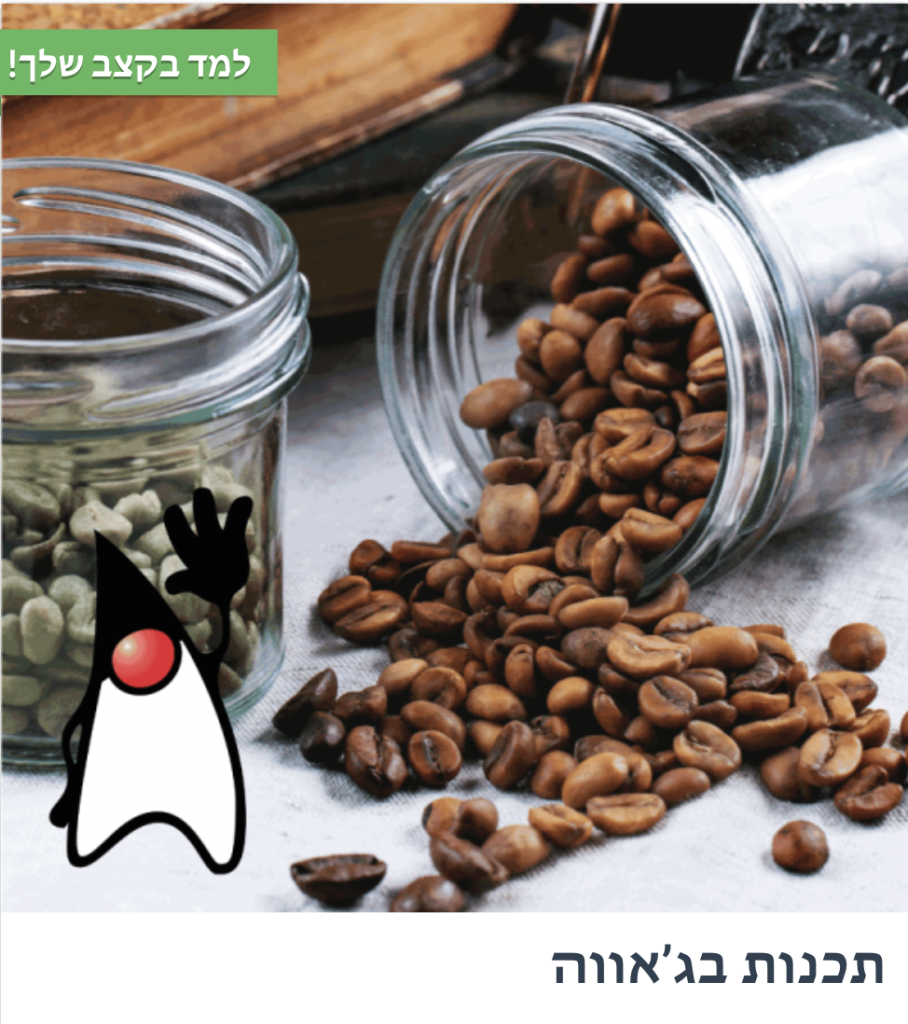 Java Course in Hebrew Banner